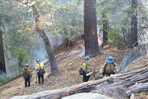 Sunset prescribed burn in Grant Grove, Sequoia and Kings Canyon National Parks, fall 2002