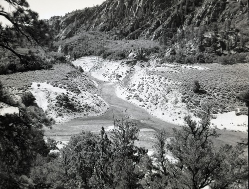 Water use in Hop Valley: irrigation, improper land use, and over grazing to refute water diversion rights claim under grazing permit.