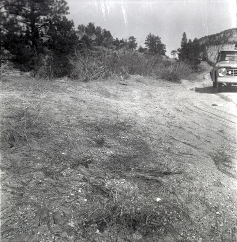 East side road repair and turn out construction.