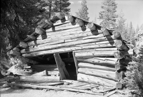 Devil Postpile and old fallen cabin.