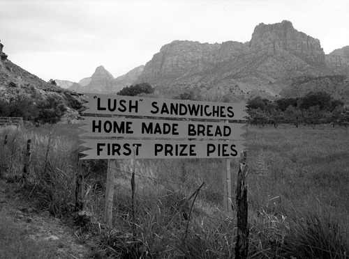 The black on yellow Grandma's signs along State Route 15 (now State Route 9) south of Springdale. Signs were at every turn and straight-a-way from Virgin, Utah to the park's South Entrance. These photos were used as documentation for the proposed clean up project to remove all undesirable signs and debris along the main access route to Zion National Park.