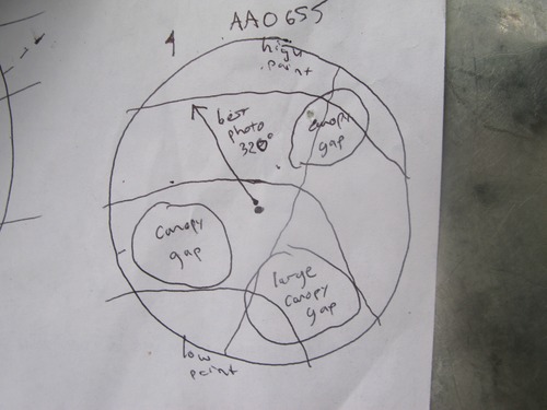 GRSM Accuracy Assessment. Plot Code: GRSM_AA_0655_7