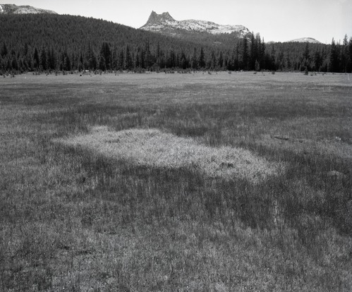 Cathedral Peak, emphasizing meadows - Tuolumne Meadows.
