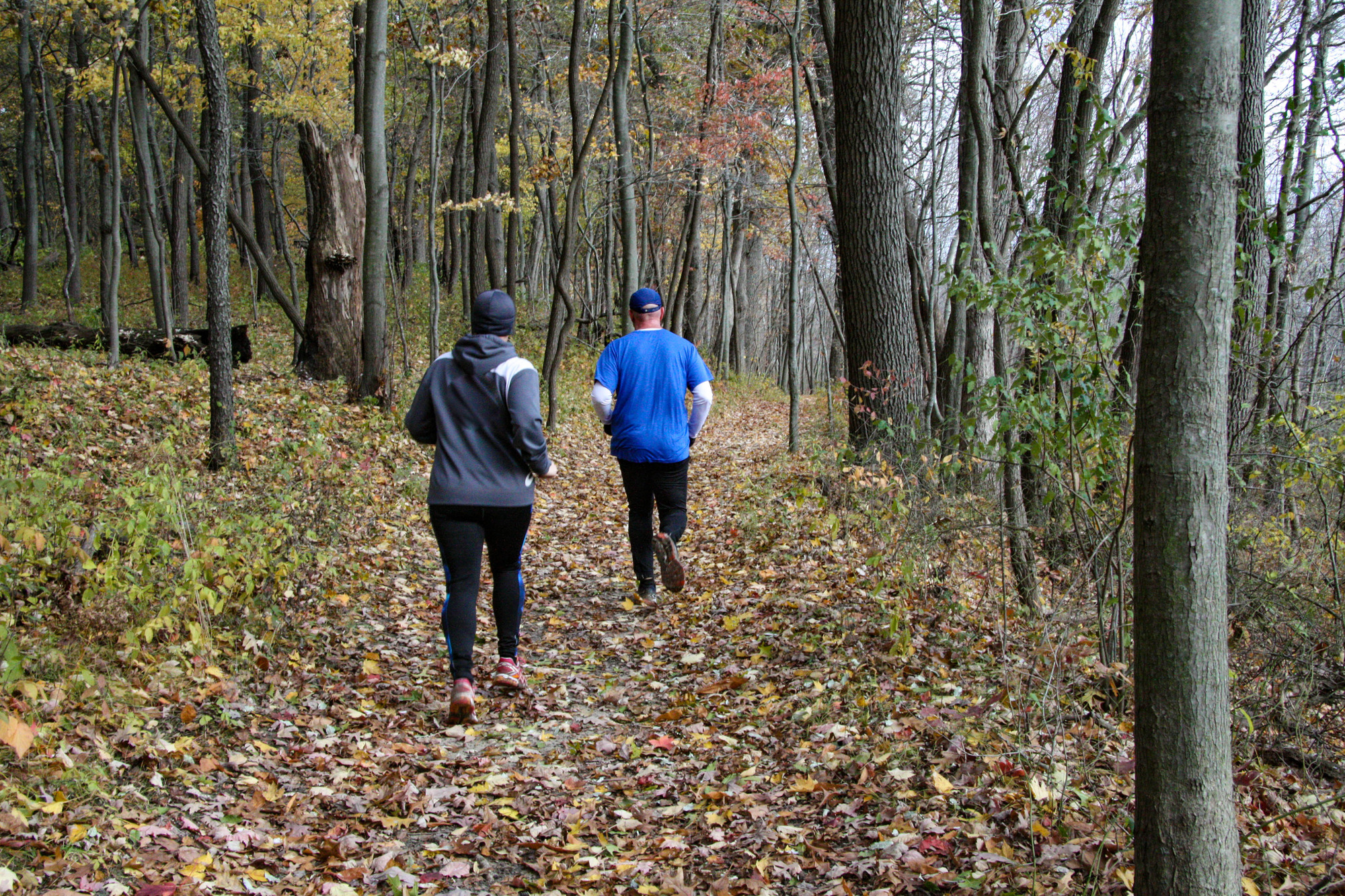Joggers running on a trail through woods with fall colors