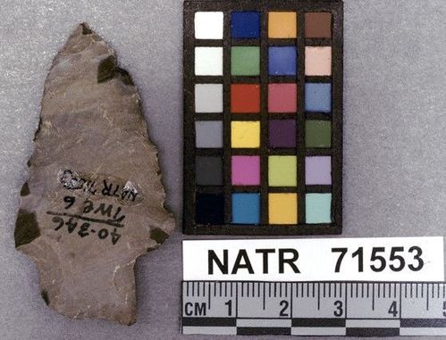 NATR   71553 -- Ledbetter Cluster projectile point