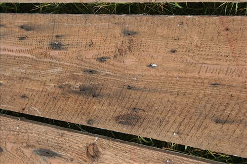 Laundress Quarters, Part 2