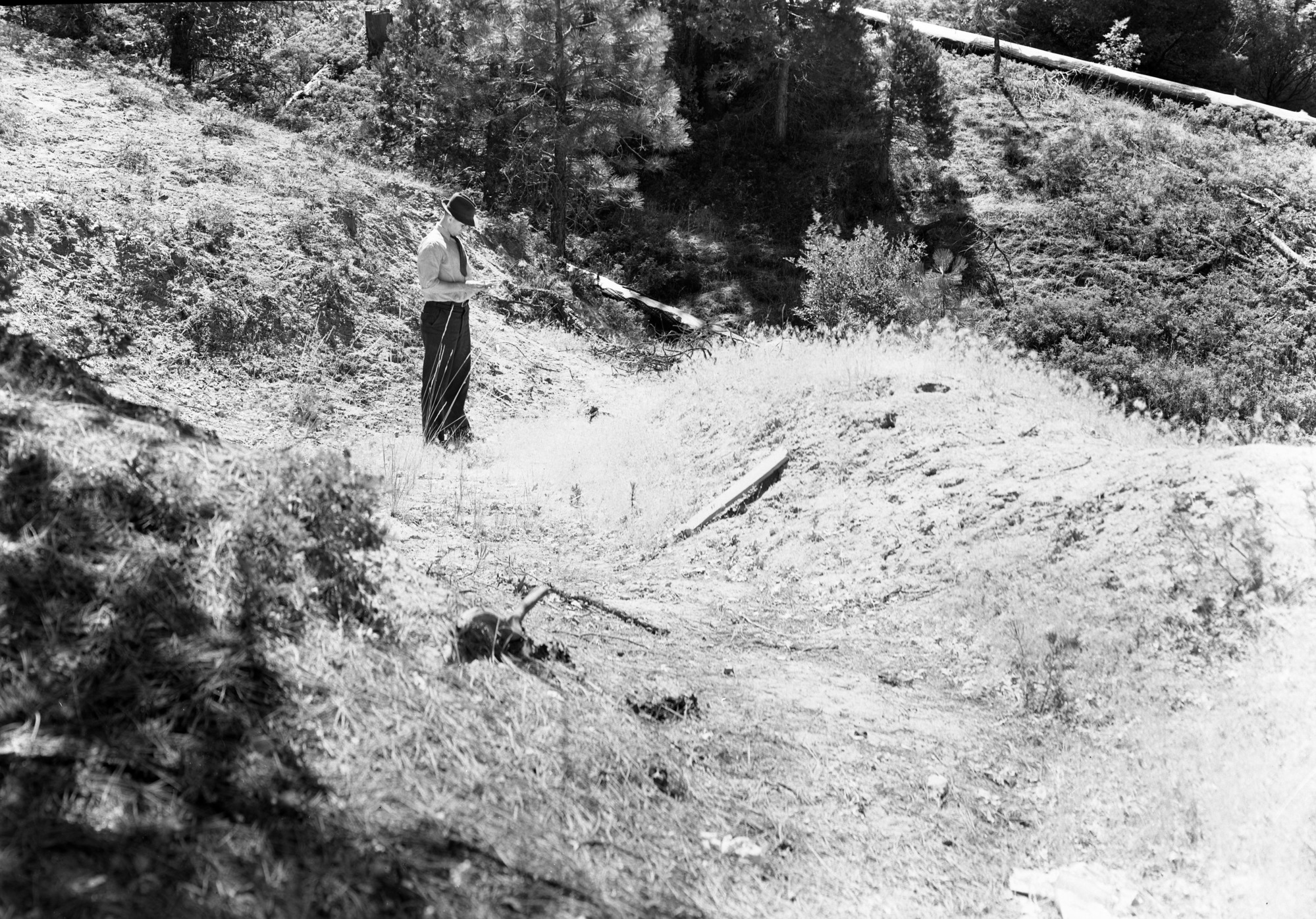 Mining claim, Wawona.