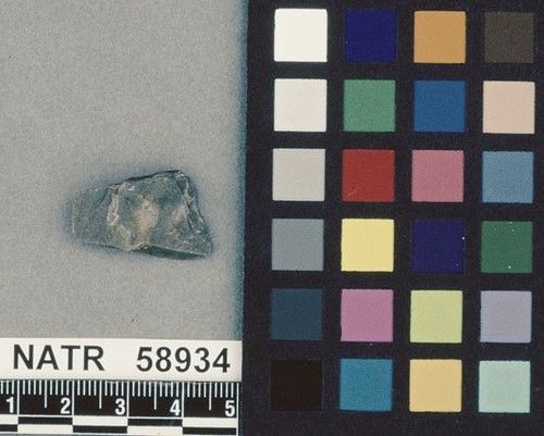 NATR   58934 -- Untyped projectile point