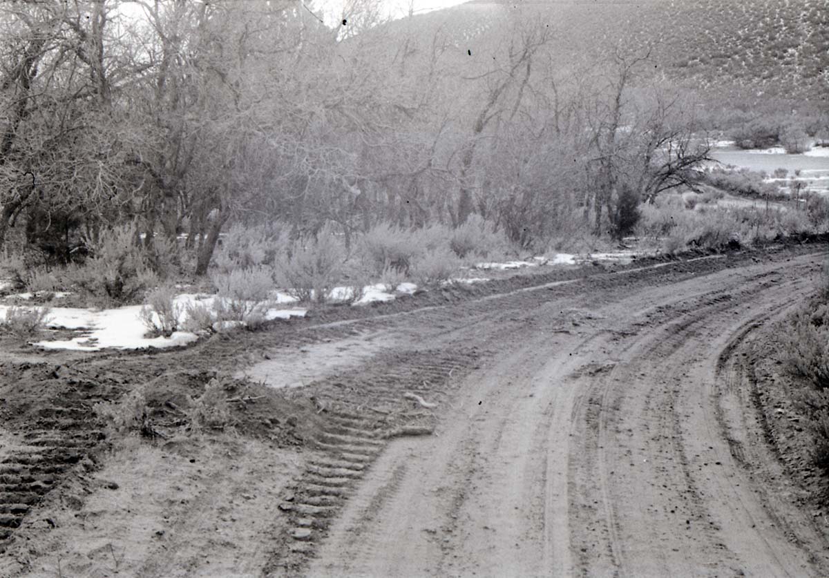 BW photo of the 1937 grazing study 35MM. Graded road in Lee Valley.