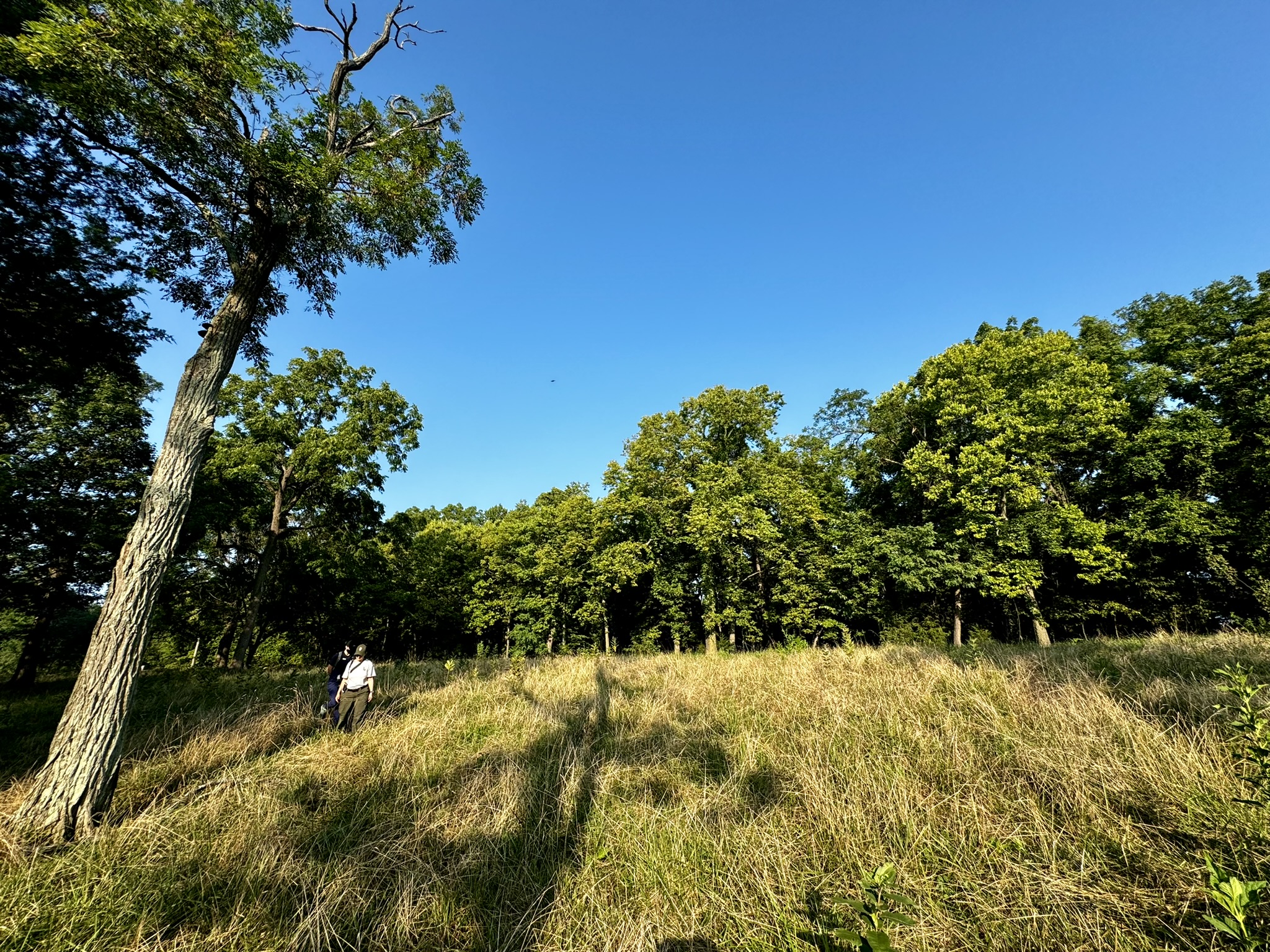 Park and regional staff evaluating site conditions at the Upper Bolivar Grassland Restoration Site in Harpers Ferry National Historical Park. 