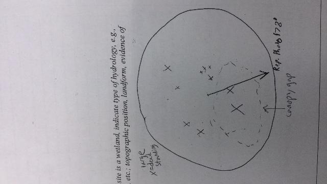GRSM Accuracy Assessment. Plot Code: GRSM_AA_0113_map