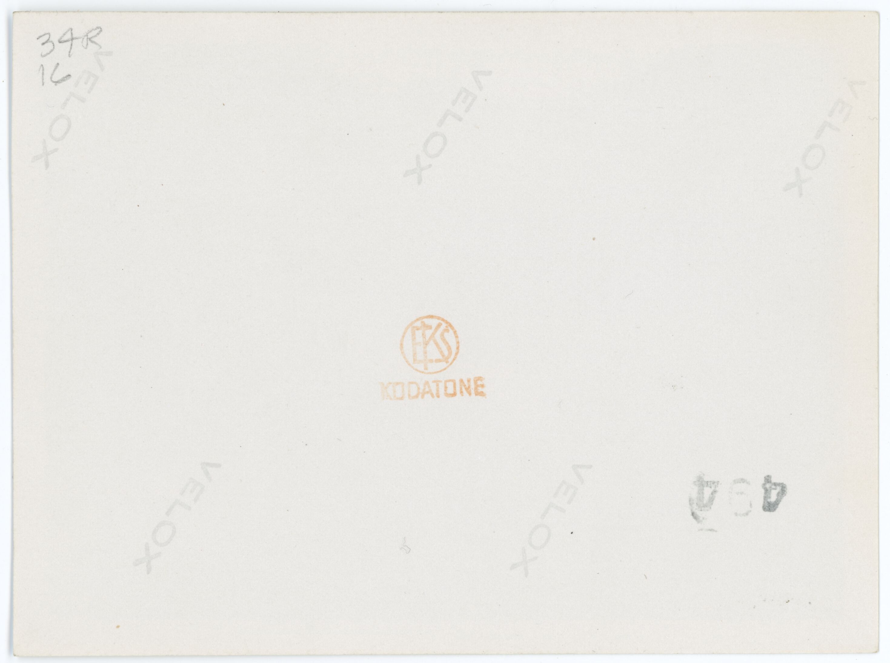 (Reverse) High Peaks Trail