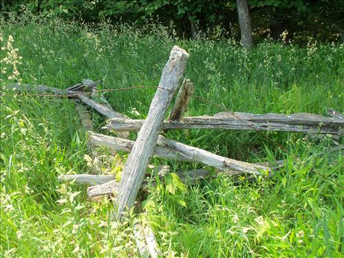 Hensley Settlement Fences