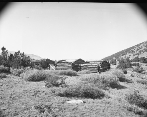 Golden Crown Cabin (several negs)
