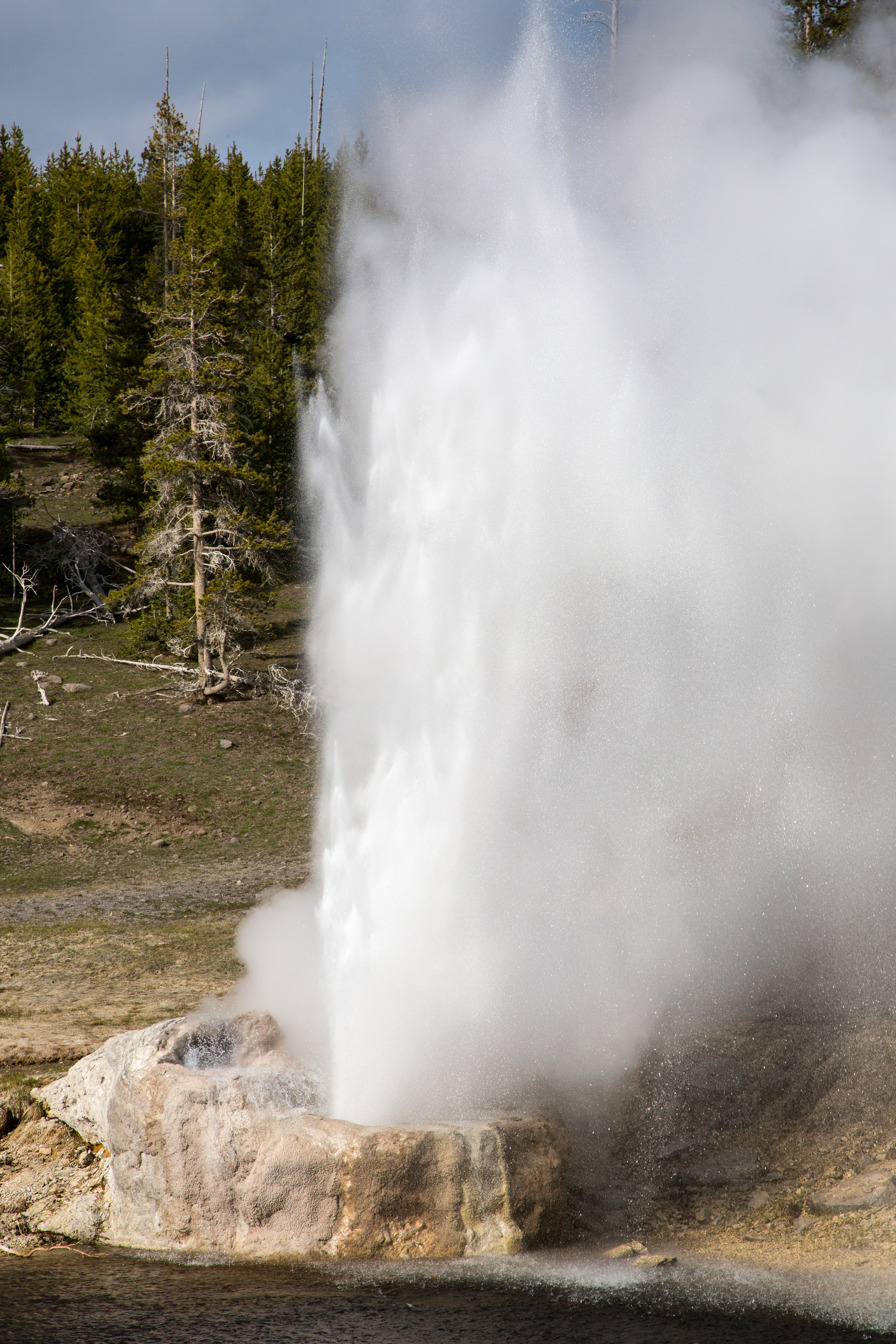 A wide column of water erupts out of a geyser cone on a river bank.