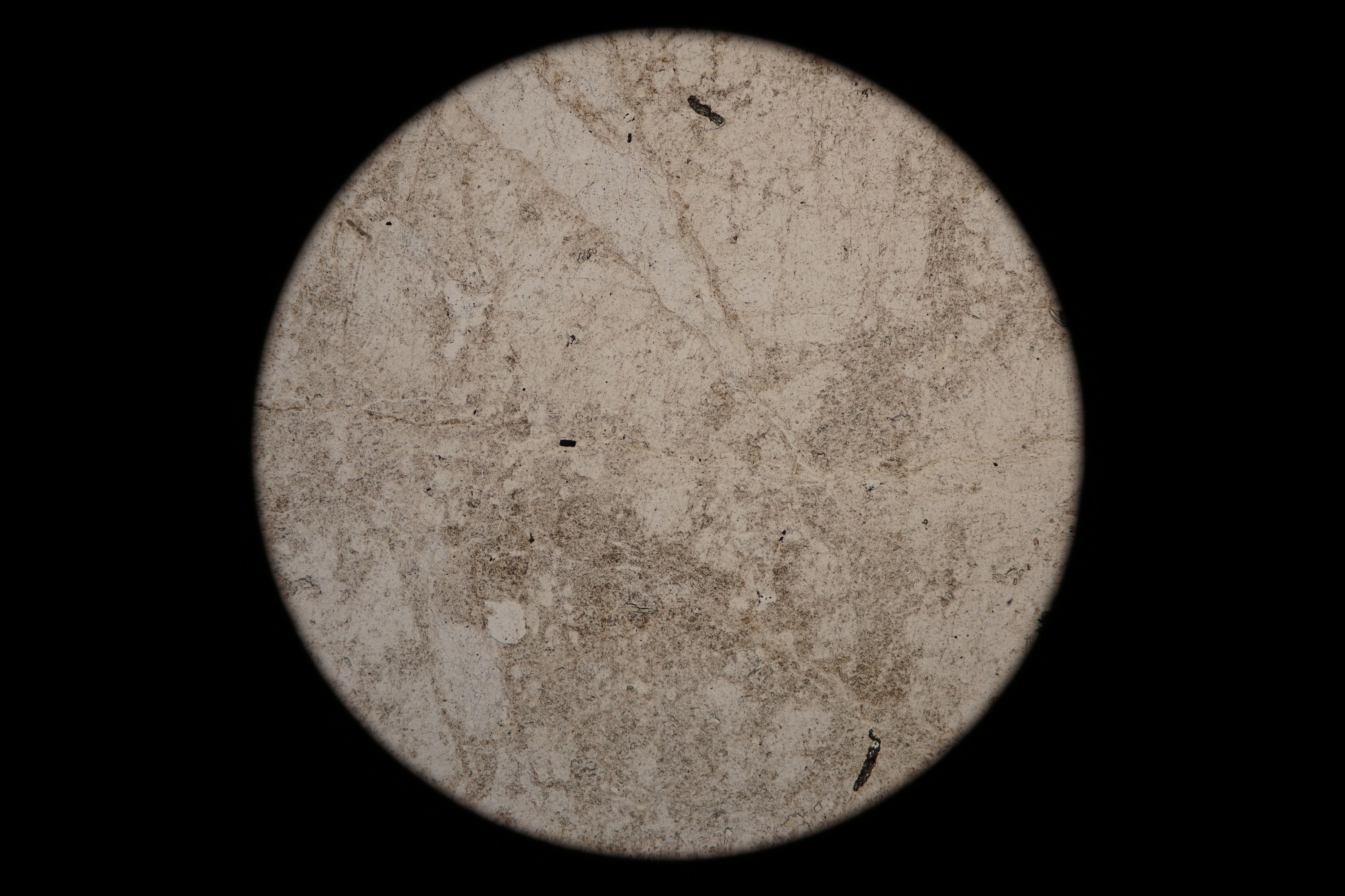 Circular microscopic image of rock structure.