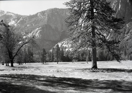 Tecoya Meadow looking toward Yosemite Fall AFTER clearing of trees around intersection