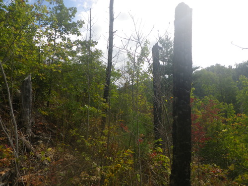 GRSM Accuracy Assessment. Plot Code: GRSM_AA_0588_3