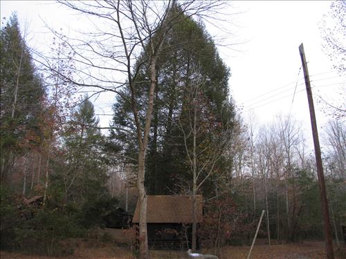 PRWI Cabin Camp 2 Unit B Hemlock 1