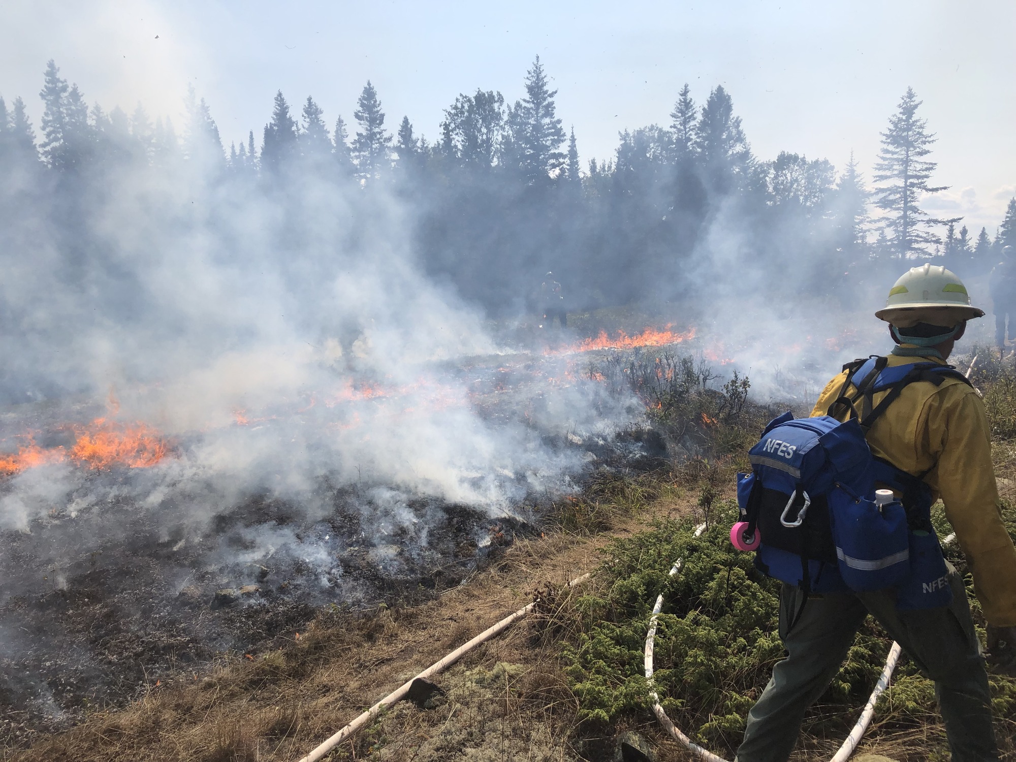 A firefighter wearing a white hardhat, yellow shirt, and blue fire pack walks with a firehose along a smoldering brush fire.