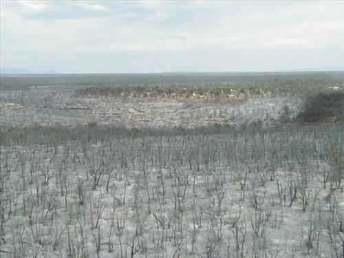 Aerial views of Chapin Mesa area in and around buildings depicting burn areas in the aftermath of the Long Mesa Fire at Mesa Verde National Park, August 2002