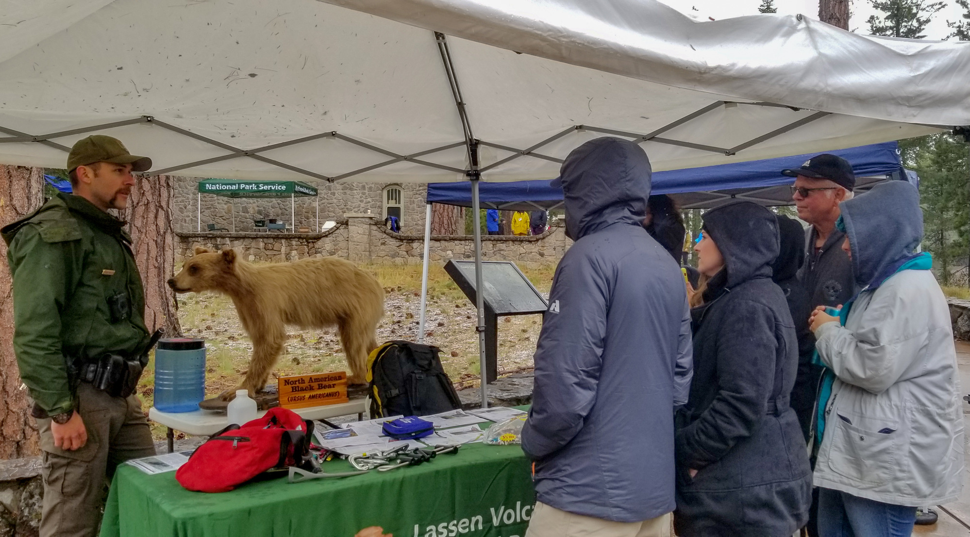 A group of visitors talk with a law enforcement ranger around a table with information. A mounted, blonde-colored black bear sits on a table behind the ranger.