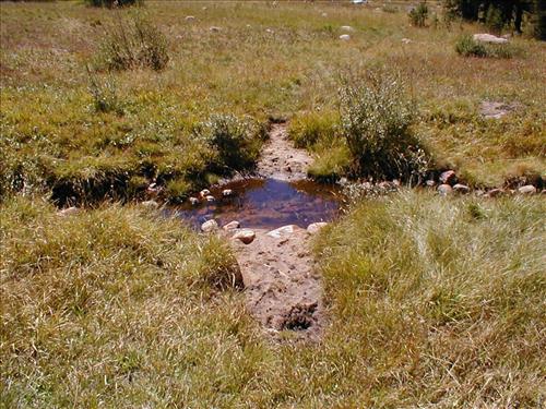 Meadow impacts from stock use at Lower Rock Creek Crossing, Sequoia and Kings Canyon National Park