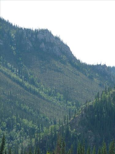 6 Yukon-Charley Rivers National Preserve Peregrine Falcon Survey July 2006