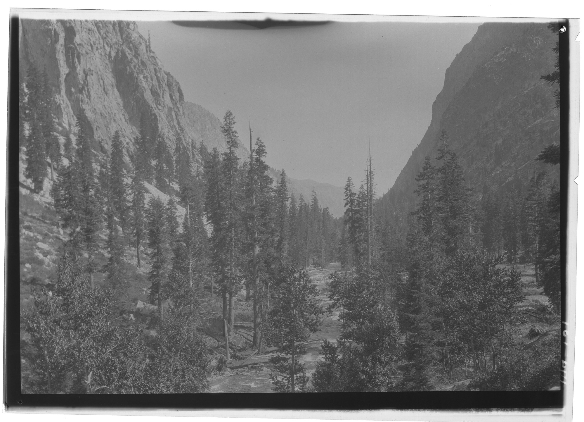 Down Kern Canyon from near Whitney Creek, Cal.