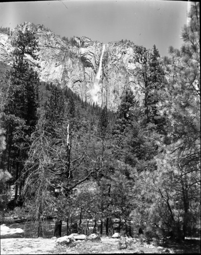 Ribbon Fall - Valley floor.