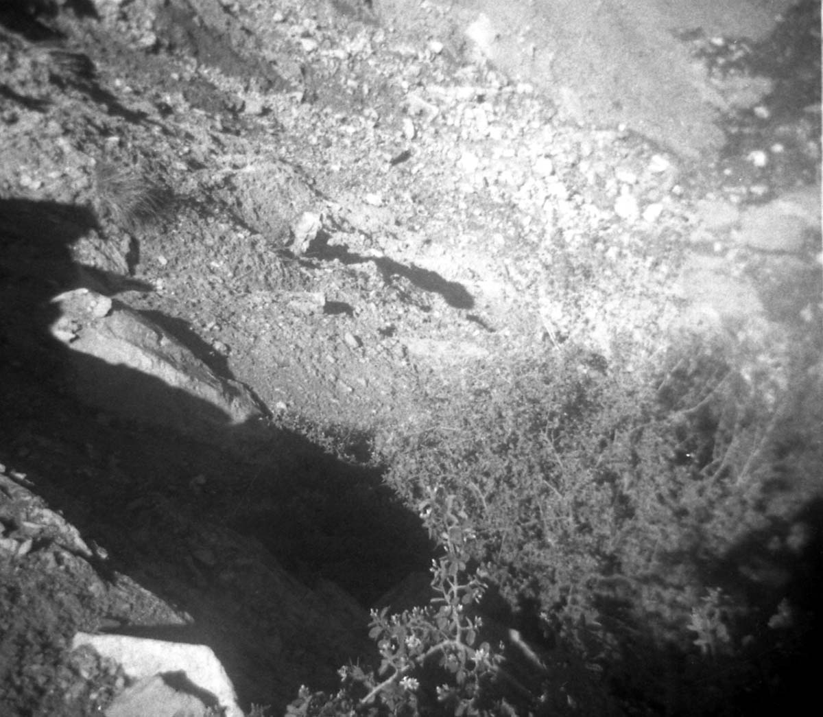 BW photos of rock slides in Kolob Canyons - 110mm.