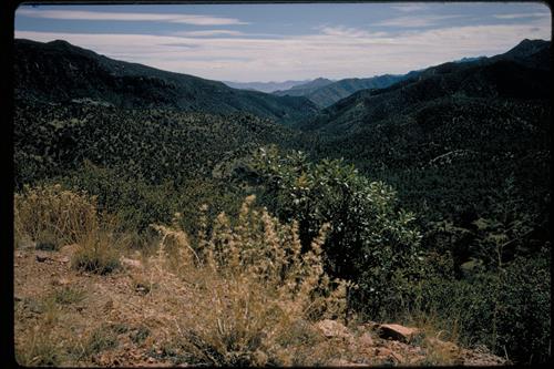 Chiricahua National Monument, Arizona