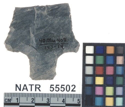 NATR   55502 -- Pickwick projectile point