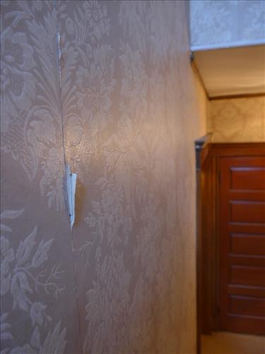 Ripped and peeling wallpaper at John F. Kennedy NHS, January 2014.