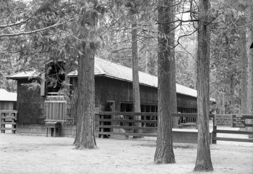 Yosemite Park and Curry Co. Stables. See Seps. RL - 979.447 Y-16c #31.