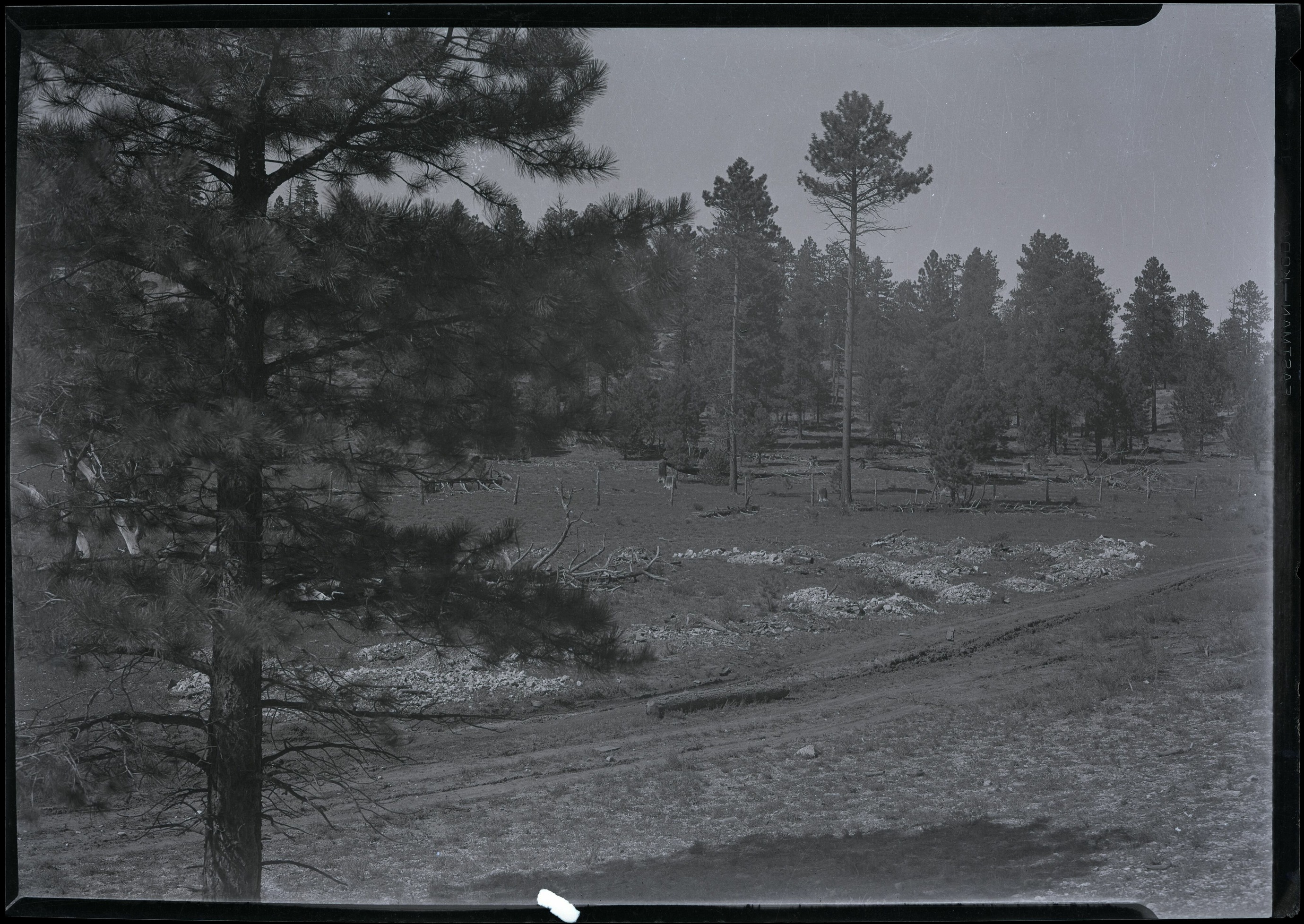 BRCA Museum and Archives Image