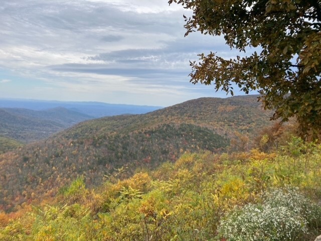 Yellow and brown rolling hills. Yellowing brush.