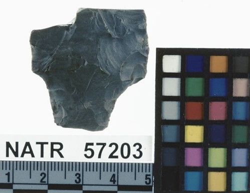 NATR   57203 -- Untyped projectile point