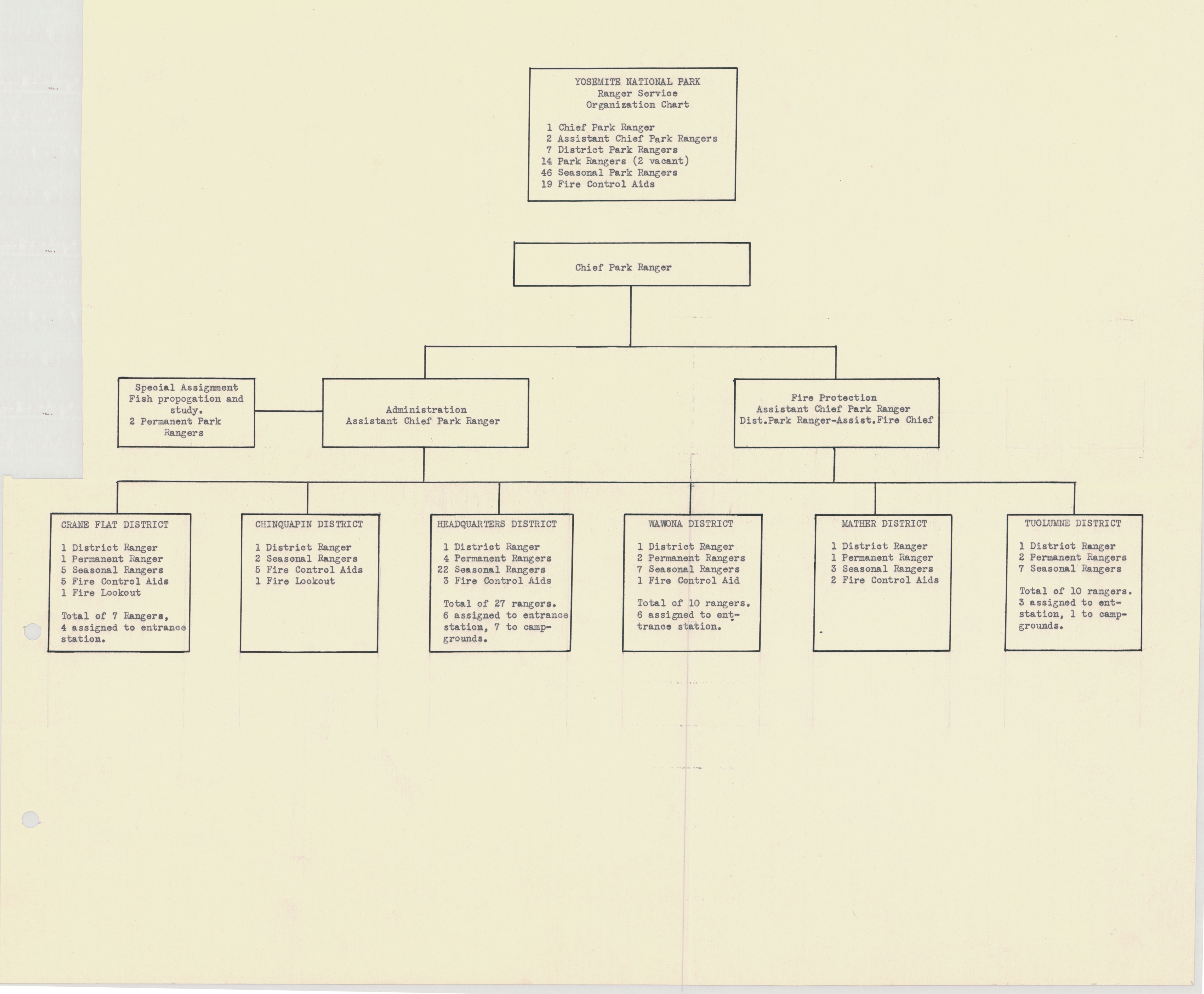 Yosemite National Park: Ranger Service Organization Chart