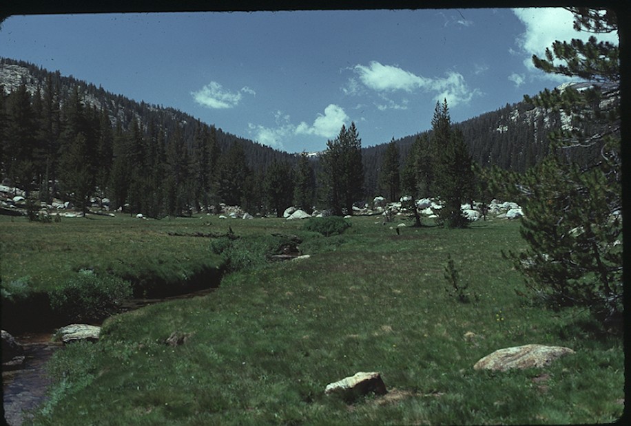 Rafferty Creek, meadow