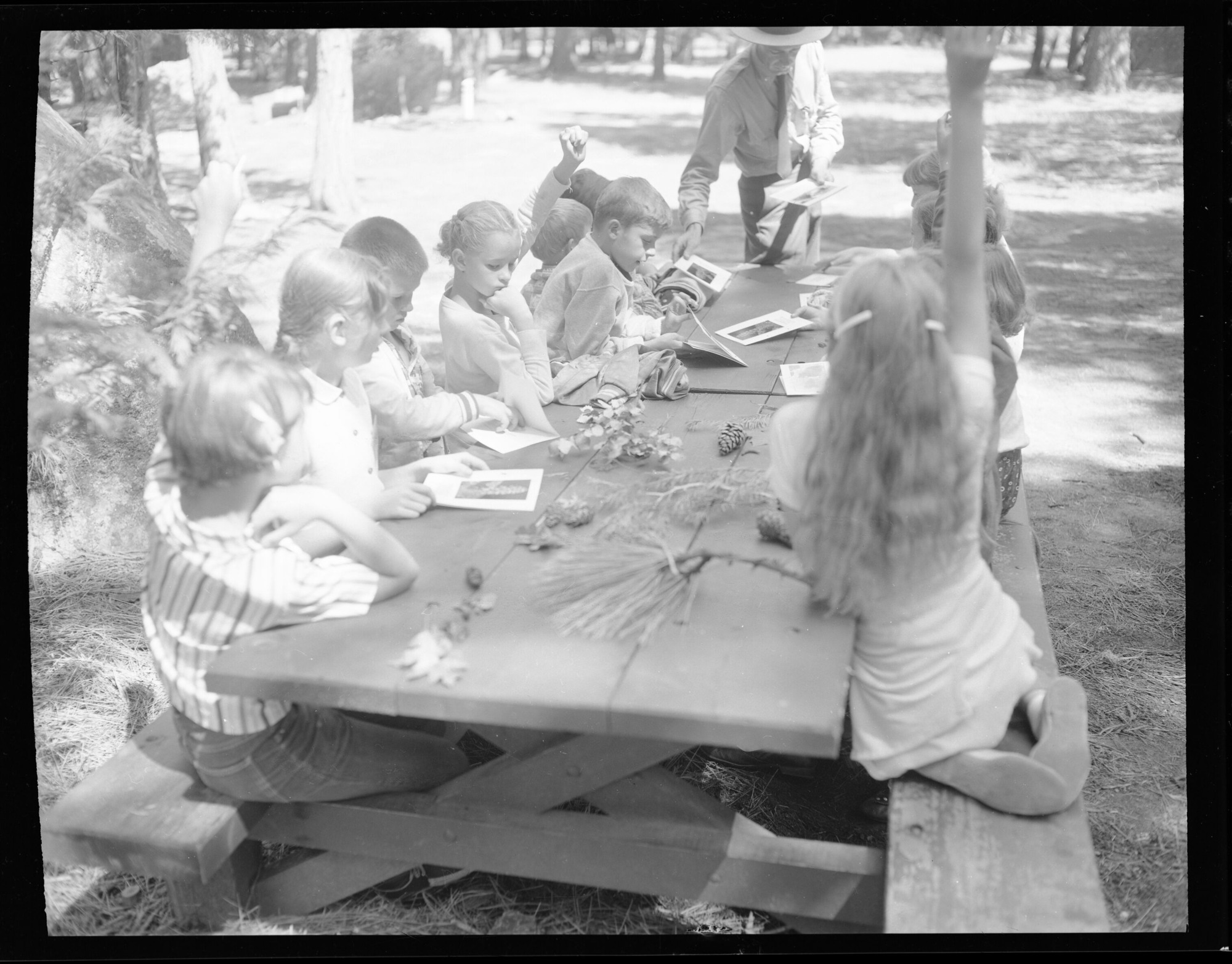 Junior ranger program at Happy Isles.