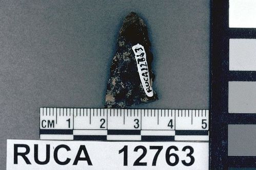 RUCA   12763 -- Point, Projectile