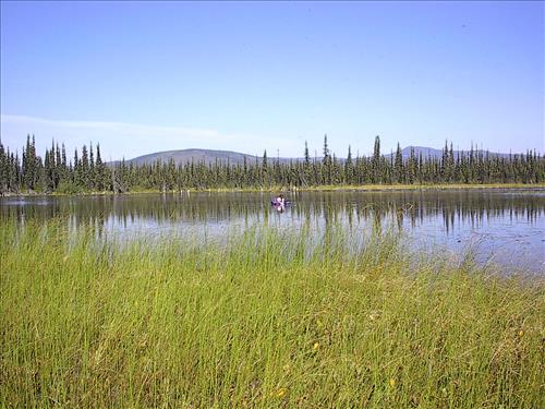 1 Yukon-Charley Rivers National Preserve Water Quality Ponds 2003