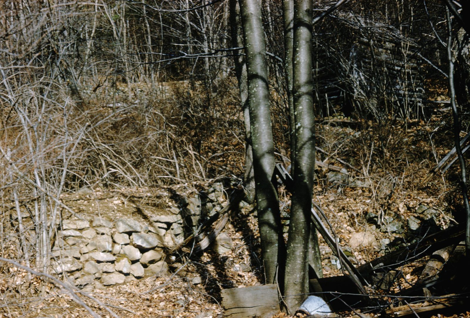 a stone wall covered in leaves blends in the with land surrounding it.
