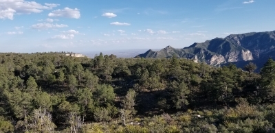 Looking into Texas from just north of the TX/NM border