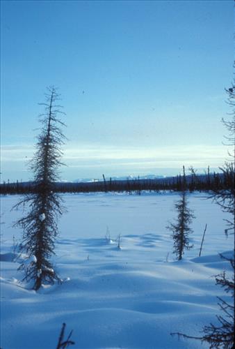 1 Yukon-Charley Rivers National Preserve Scenery