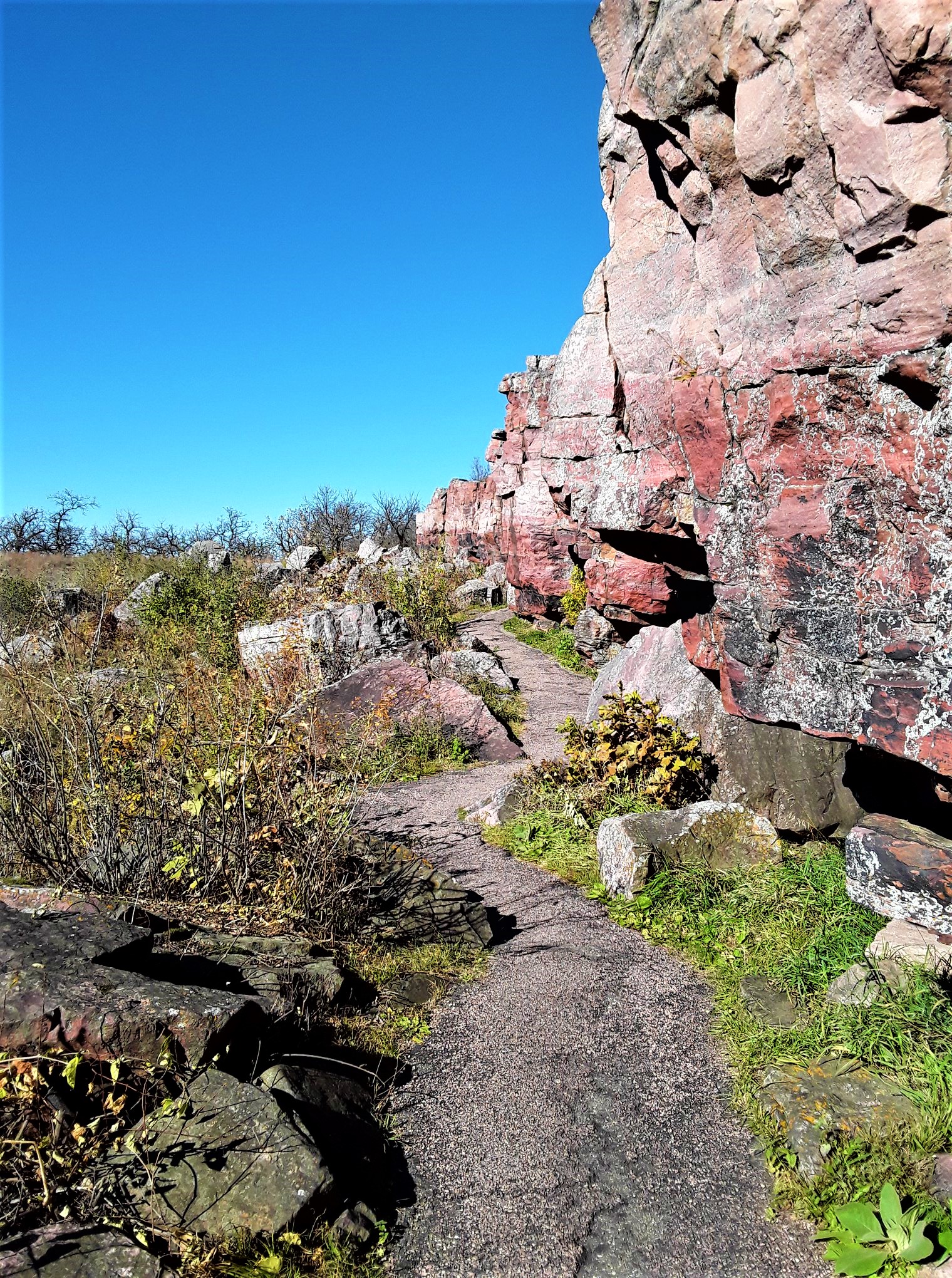 Pink Sioux Quartzite cliffs under a clear, blue sky with a paved trail running between the cliffs and the tallgrass prairie next to them. 