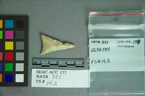 NATR  851 -- Late Woodland / Mississippi Triangular Cluster PP/K