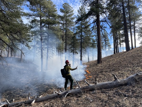 A firefighter uses a radio to communicate during a prescribed fire while small creeping flames and smoke billow on the ponderosa pine landscape.