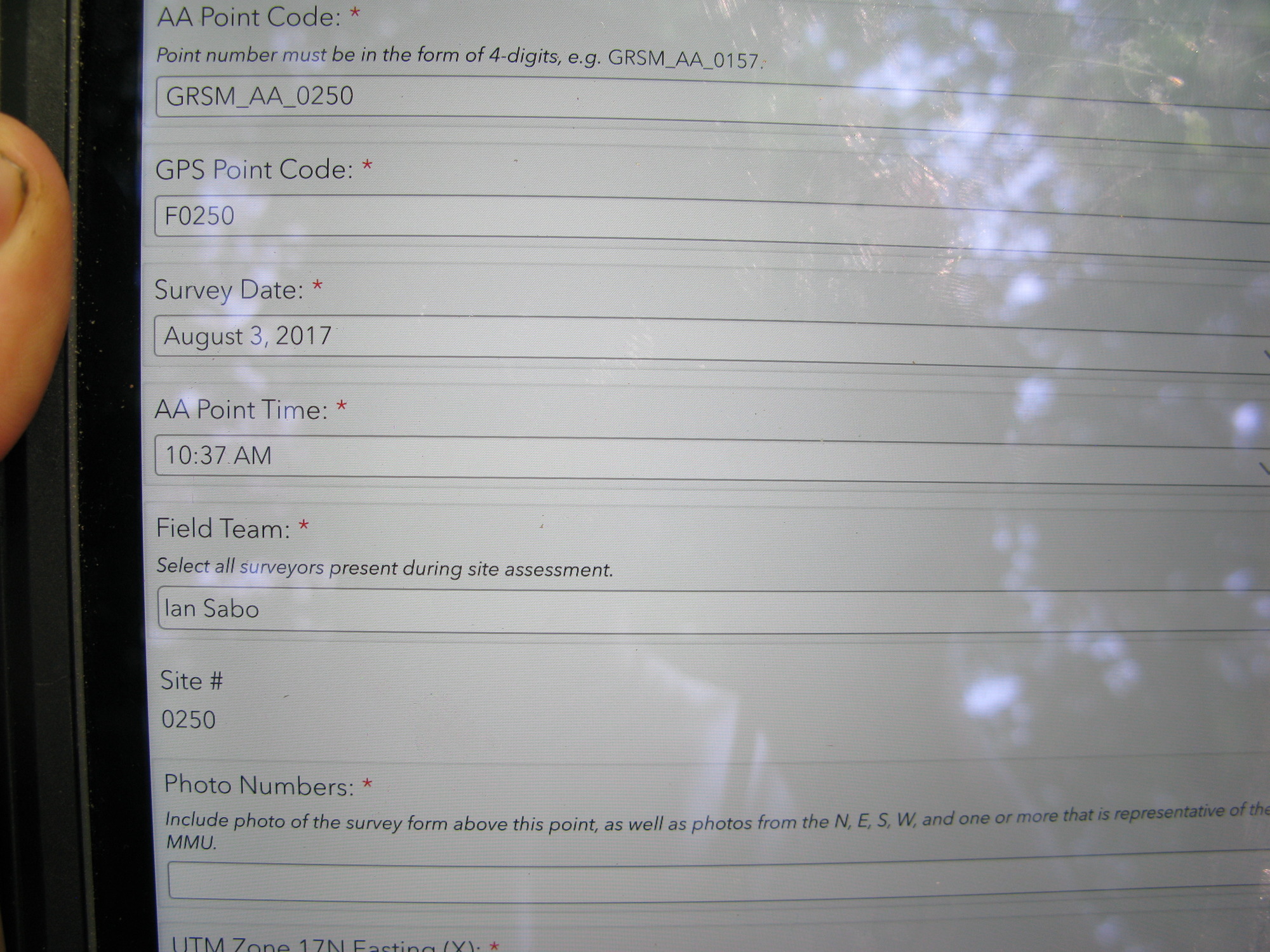 GRSM Accuracy Assessment. Plot Code: GRSM_AA_0250_1